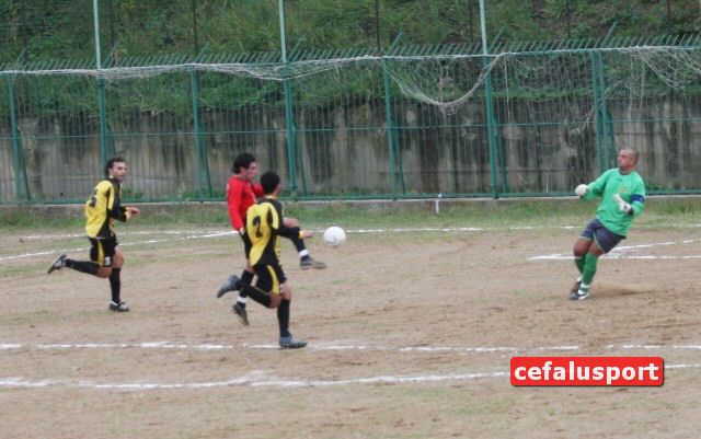 101031_Tiger 244x_tn.jpg